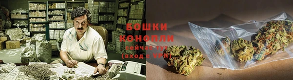 PSILOCYBIN Дмитров