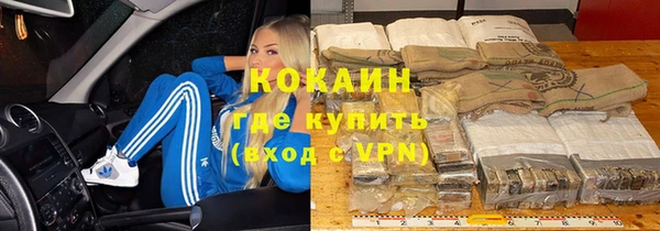 сатива Дмитровск