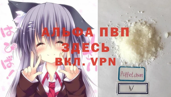 сатива Дмитровск
